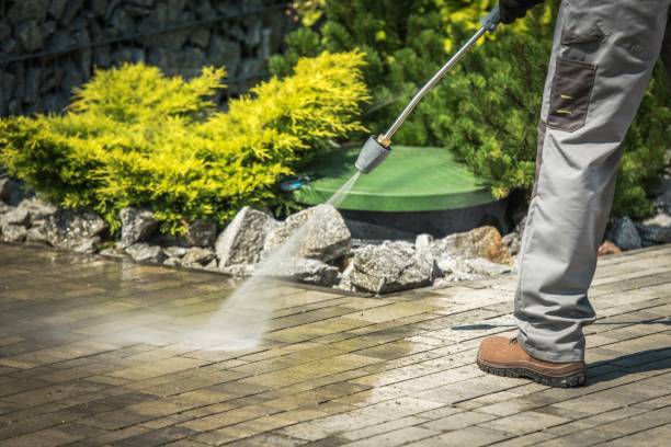 Best Dumpster Area Cleaning  in Hibbing, MN